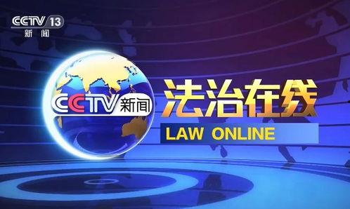 央视法治在线在线观看,权威解读，在线观看，共筑法治防线  第3张